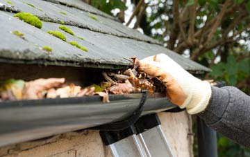 gutter cleaning Acton Green